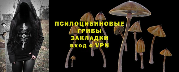 индика Верхнеуральск