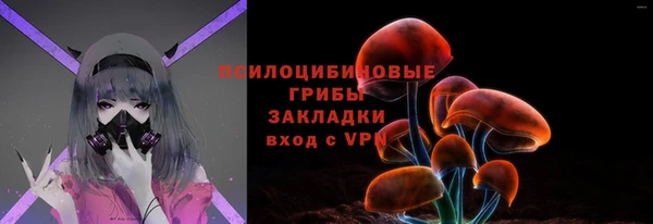индика Верхнеуральск