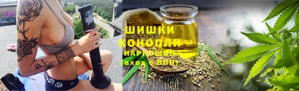 мдпв Вязьма