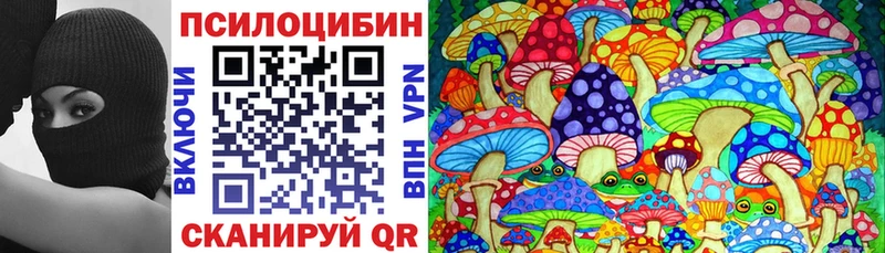 где можно купить   Ишим  Псилоцибиновые грибы Cubensis 